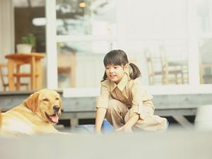 健康を第一に考えたドッグフードです