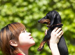 自然と調和した最新のペット医療環境を提供する緑の森どうぶつ病院 豊岡病院の特徴と魅力