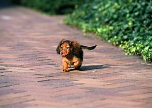 不明な点は細かく質問できるのが魅力