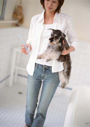 犬用品の購入先に適した代官山のセレクトショップ