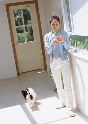 ペットの健康を守るために活用しましょう