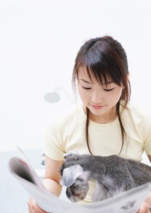 犬のペット保険ならau損保