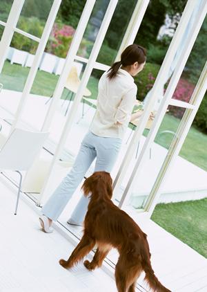 秦野の動物病院でペットの中毒症状の相談